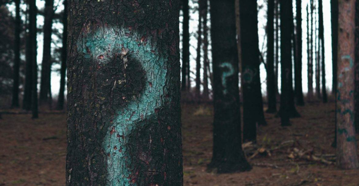 tree with question mark Tree with question mark