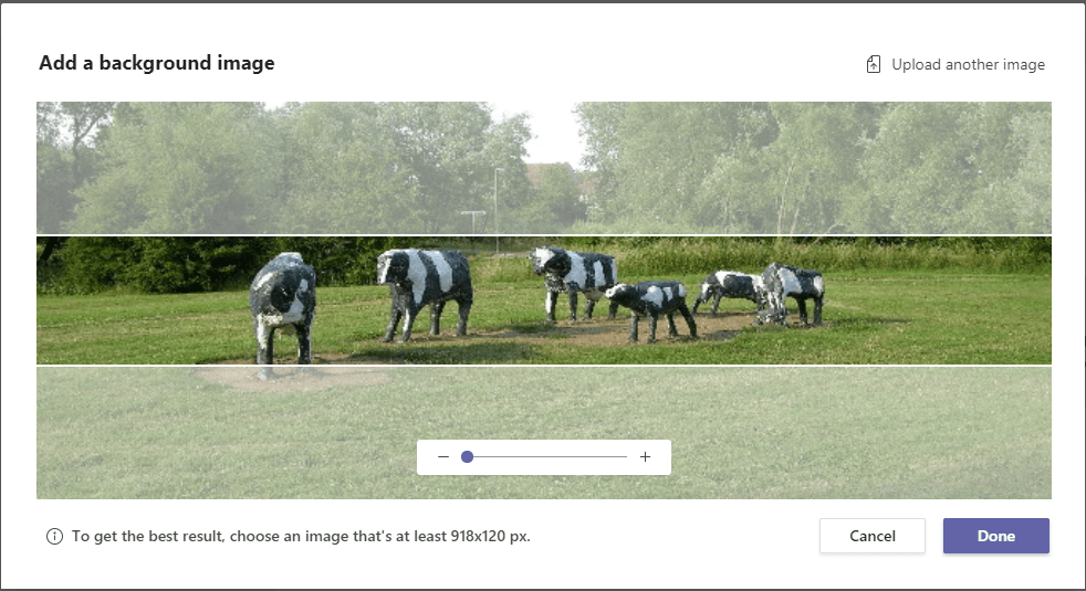 Background picture with cows